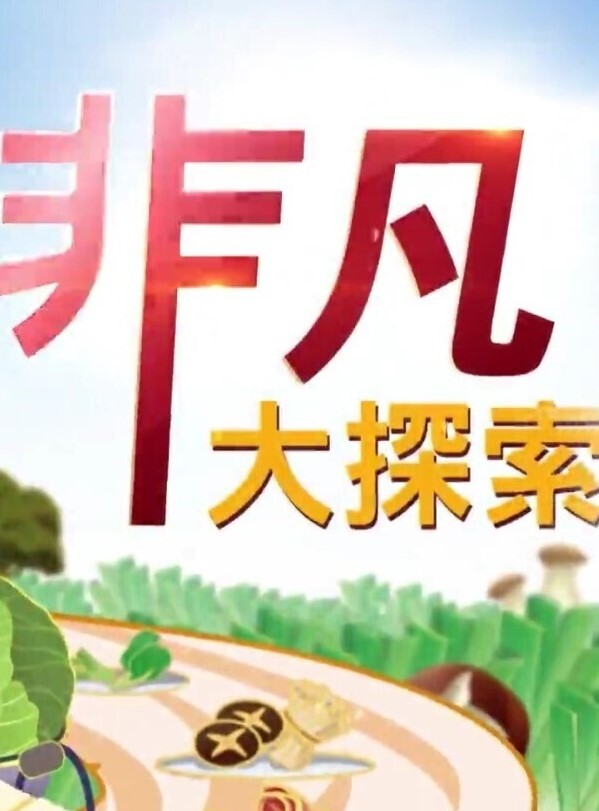 P站精选不传之秘黑丝家教老师真人启蒙性教育请在我的身体里射精 - 优视频海报